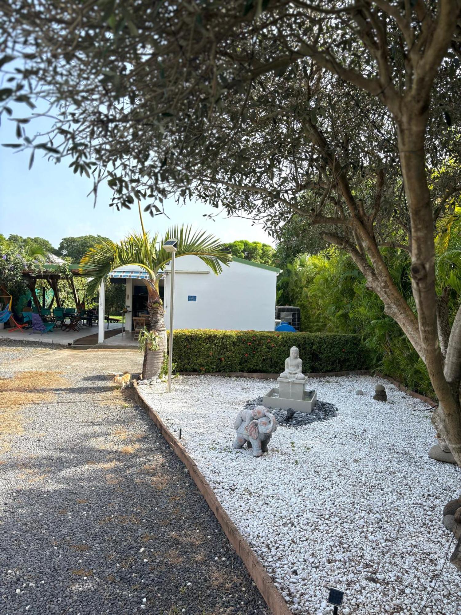 Gites Les Bienheureux - Piscine, Hamak, Terrasse Anse-Bertrand Eksteriør bilde